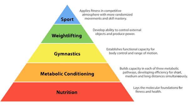 Nutrition is the foundation of fitness